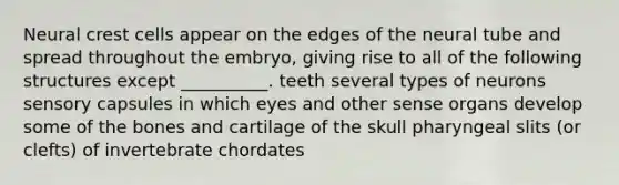 Neural crest cells appear on the edges of the neural tube and spread throughout the embryo, giving rise to all of the following structures except __________. teeth several types of neurons sensory capsules in which eyes and other sense organs develop some of the bones and cartilage of the skull pharyngeal slits (or clefts) of invertebrate chordates