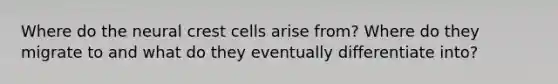 Where do the neural crest cells arise from? Where do they migrate to and what do they eventually differentiate into?