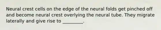 Neural crest cells on the edge of the neural folds get pinched off and become neural crest overlying the neural tube. They migrate laterally and give rise to _________.
