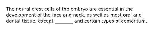 The neural crest cells of the embryo are essential in the development of the face and neck, as well as most oral and dental tissue, except ________ and certain types of cementum.