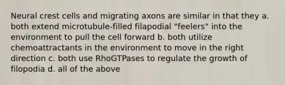 Neural crest cells and migrating axons are similar in that they a. both extend microtubule-filled filapodial "feelers" into the environment to pull the cell forward b. both utilize chemoattractants in the environment to move in the right direction c. both use RhoGTPases to regulate the growth of filopodia d. all of the above