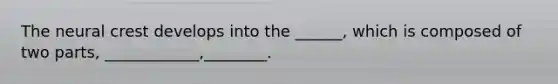 The neural crest develops into the ______, which is composed of two parts, ____________,________.