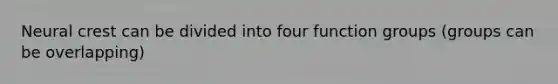 Neural crest can be divided into four function groups (groups can be overlapping)