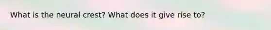 What is the neural crest? What does it give rise to?