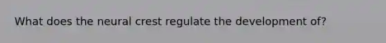 What does the neural crest regulate the development of?