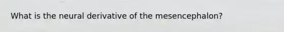 What is the neural derivative of the mesencephalon?