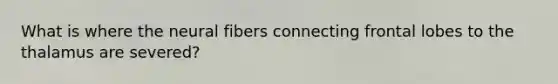 What is where the neural fibers connecting frontal lobes to the thalamus are severed?