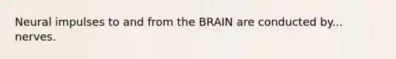 Neural impulses to and from the BRAIN are conducted by... nerves.