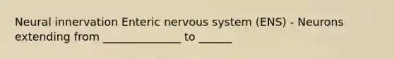 Neural innervation Enteric nervous system (ENS) - Neurons extending from ______________ to ______