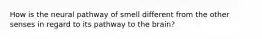 How is the neural pathway of smell different from the other senses in regard to its pathway to the brain?