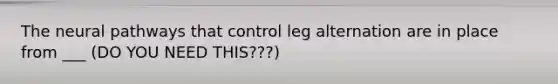 The neural pathways that control leg alternation are in place from ___ (DO YOU NEED THIS???)