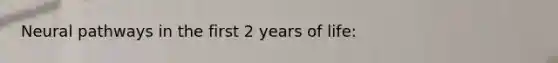 Neural pathways in the first 2 years of life: