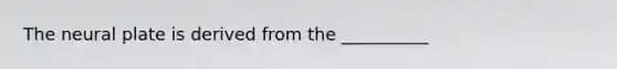 The neural plate is derived from the __________