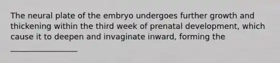 The neural plate of the embryo undergoes further growth and thickening within the third week of <a href='https://www.questionai.com/knowledge/kMumvNdQFH-prenatal-development' class='anchor-knowledge'>prenatal development</a>, which cause it to deepen and invaginate inward, forming the _________________