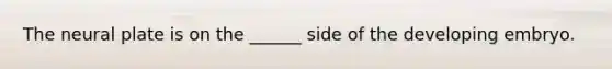 The neural plate is on the ______ side of the developing embryo.