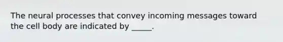 The neural processes that convey incoming messages toward the cell body are indicated by _____.