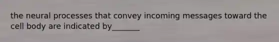 the neural processes that convey incoming messages toward the cell body are indicated by_______