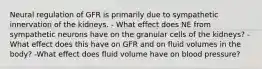 Neural regulation of GFR is primarily due to sympathetic innervation of the kidneys. - What effect does NE from sympathetic neurons have on the granular cells of the kidneys? -What effect does this have on GFR and on fluid volumes in the body? -What effect does fluid volume have on blood pressure?