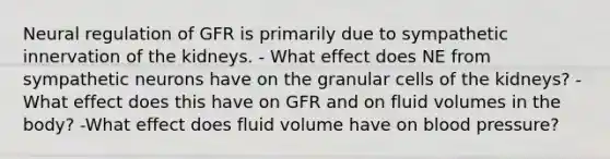 Neural regulation of GFR is primarily due to sympathetic innervation of the kidneys. - What effect does NE from sympathetic neurons have on the granular cells of the kidneys? -What effect does this have on GFR and on fluid volumes in the body? -What effect does fluid volume have on blood pressure?