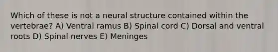 Which of these is not a neural structure contained within the vertebrae? A) Ventral ramus B) Spinal cord C) Dorsal and ventral roots D) Spinal nerves E) Meninges