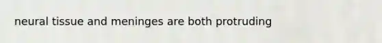 neural tissue and meninges are both protruding