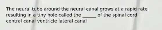 The neural tube around the neural canal grows at a rapid rate resulting in a tiny hole called the ______ of the spinal cord. central canal ventricle lateral canal