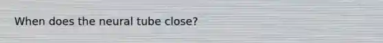 When does the neural tube close?