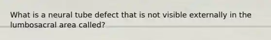 What is a neural tube defect that is not visible externally in the lumbosacral area called?