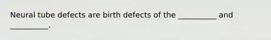 Neural tube defects are birth defects of the __________ and __________.