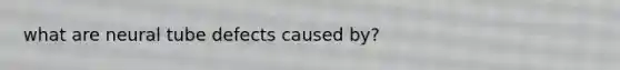 what are neural tube defects caused by?