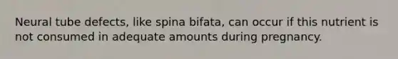 Neural tube defects, like spina bifata, can occur if this nutrient is not consumed in adequate amounts during pregnancy.