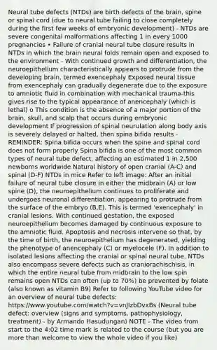 Neural tube defects (NTDs) are birth defects of <a href='https://www.questionai.com/knowledge/kLMtJeqKp6-the-brain' class='anchor-knowledge'>the brain</a>, spine or spinal cord (due to neural tube failing to close completely during the first few weeks of embryonic development) - NTDs are severe congenital malformations affecting 1 in every 1000 pregnancies • Failure of cranial neural tube closure results in NTDs in which the brain neural folds remain open and exposed to the environment - With continued growth and differentiation, the neuroepithelium characteristically appears to protrude from the developing brain, termed exencephaly Exposed neural tissue from exencephaly can gradually degenerate due to the exposure to amniotic fluid in combination with mechanical trauma-this gives rise to the typical appearance of anencephaly (which is lethal) o This condition is the absence of a major portion of the brain, skull, and scalp that occurs during embryonic development If progression of spinal neurulation along body axis is severely delayed or halted, then spina bifida results - REMINDER: Spina bifida occurs when the spine and spinal cord does not form properly Spina bifida is one of the most common types of neural tube defect, affecting an estimated 1 in 2,500 newborns worldwide Natural history of open cranial (A-C) and spinal (D-F) NTDs in mice Refer to left image: After an initial failure of neural tube closure in either the midbrain (A) or low spine (D), the neuroepithelium continues to proliferate and undergoes neuronal differentiation, appearing to protrude from the surface of the embryo (B,E). This is termed 'exencephaly' in cranial lesions. With continued gestation, the exposed neuroepithelium becomes damaged by continuous exposure to the amniotic fluid. Apoptosis and necrosis intervene so that, by the time of birth, the neuroepithelium has degenerated, yielding the phenotype of anencephaly (C) or myelocele (F). In addition to isolated lesions affecting the cranial or spinal neural tube, NTDs also encompass severe defects such as craniorachischisis, in which the entire neural tube from midbrain to the low spin remains open NTDs can often (up to 70%) be prevented by folate (also known as vitamin B9) Refer to following YouTube video for an overview of neural tube defects: https://www.youtube.com/watch?v=vnJIzbDvxBs (Neural tube defect: overview (signs and symptoms, pathophysiology, treatment) - by Armando Hasudungan) NOTE - The video from start to the 4:02 time mark is related to the course (but you are <a href='https://www.questionai.com/knowledge/keWHlEPx42-more-than' class='anchor-knowledge'>more than</a> welcome to view the whole video if you like)