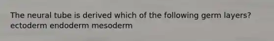 The neural tube is derived which of the following germ layers? ectoderm endoderm mesoderm