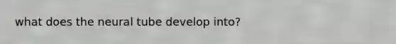 what does the neural tube develop into?