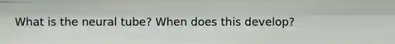 What is the neural tube? When does this develop?