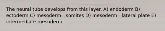 The neural tube develops from this layer. A) endoderm B) ectoderm C) mesoderm—somites D) mesoderm—lateral plate E) intermediate mesoderm