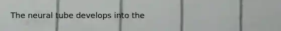 The neural tube develops into the