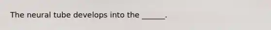 The neural tube develops into the ______.