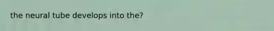 the neural tube develops into the?