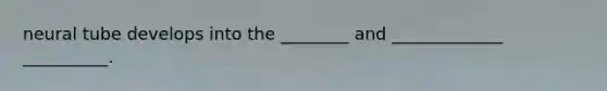 neural tube develops into the ________ and _____________ __________.