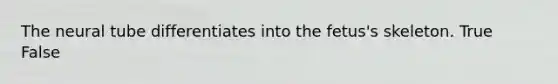 The neural tube differentiates into the fetus's skeleton. True False
