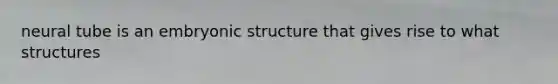 neural tube is an embryonic structure that gives rise to what structures