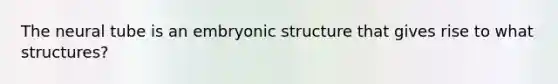 The neural tube is an embryonic structure that gives rise to what structures?