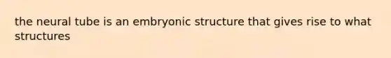 the neural tube is an embryonic structure that gives rise to what structures