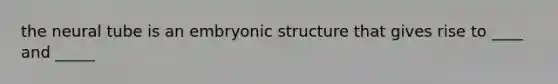 the neural tube is an embryonic structure that gives rise to ____ and _____