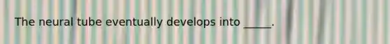 The neural tube eventually develops into _____.