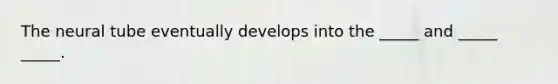 The neural tube eventually develops into the _____ and _____ _____.