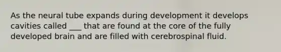 As the neural tube expands during development it develops cavities called ___ that are found at the core of the fully developed brain and are filled with cerebrospinal fluid.