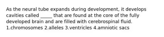 As the neural tube expands during development, it develops cavities called _____ that are found at the core of the fully developed brain and are filled with cerebrospinal fluid. 1.chromosomes 2.alleles 3.ventricles 4.amniotic sacs