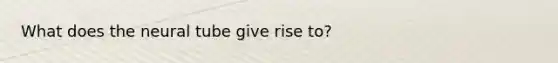 What does the neural tube give rise to?